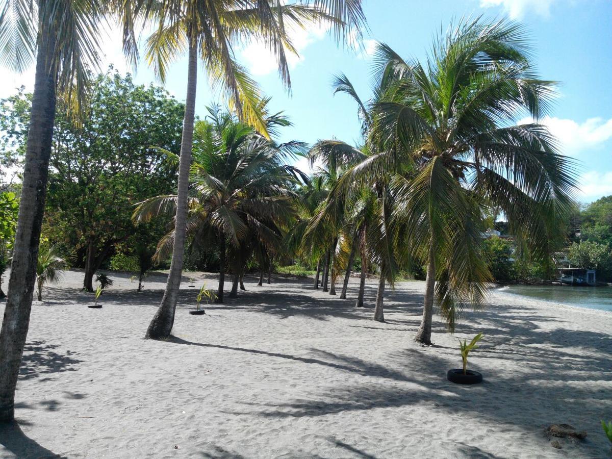Madiana Plage Schoelcher Dış mekan fotoğraf