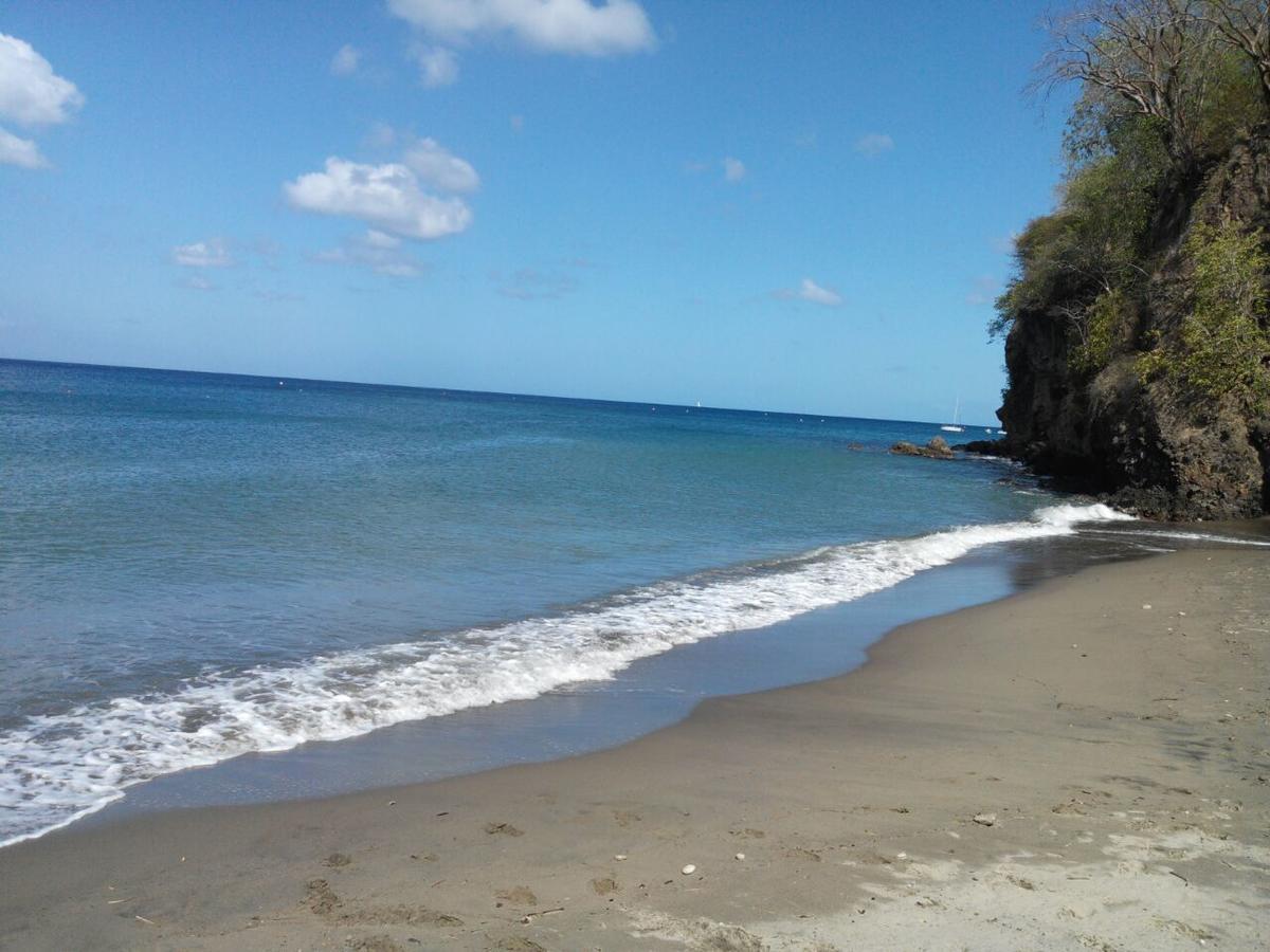 Madiana Plage Schoelcher Dış mekan fotoğraf